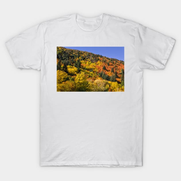 Arrowtown Colour T-Shirt by charlesk